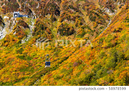 <富山縣>黑部平和立山黑部阿爾卑斯山脈的紅葉 <富山縣>黑部平和立山黑部阿爾卑斯山脈的紅葉 58978599