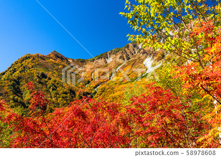 <Toyama Prefecture> Autumn leaves of Kurobedaira and Tateyama Kurobe Alpine Route 58978608