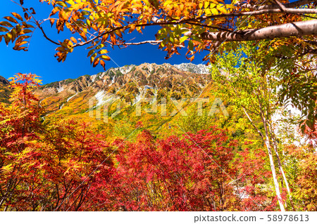 <富山縣>黑部平和立山黑部阿爾卑斯山脈的紅葉 <富山縣>黑部平和立山黑部阿爾卑斯山脈的紅葉 58978613