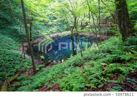 白神山的全景 白神山的全景 58978621