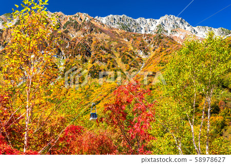 <富山縣>黑部平和立山黑部阿爾卑斯山脈的紅葉 58978627