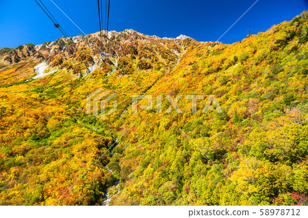 <Toyama Prefecture> Autumn leaves of Kurobedaira and Tateyama Kurobe Alpine Route 58978712