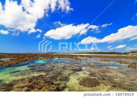 Inoh and blue sky 58978929