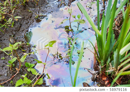 Puddle of iron bacteria in a puddle 58979116