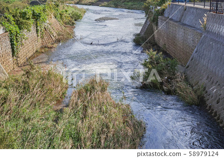 River scenery where a tributary (Izumi River) joins the main stream (Sakai River) 58979124