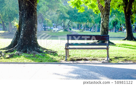 Empty green bench is placed on public park Empty green bench is placed on public park 58981122