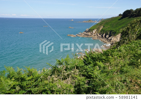 The Brittany coast 58981141