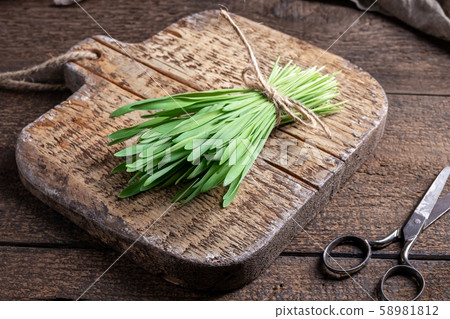 Fresh barley grass on a wooden cutting board 58981812