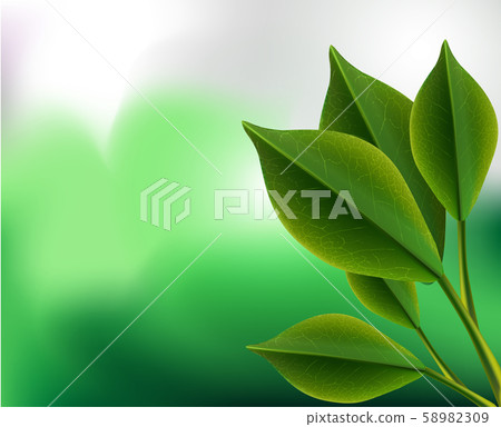 Realistic 3d tea green leaves vector background - Stock Illustration ...