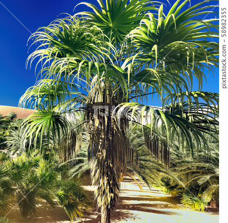 Awesome view on Sahara desert at sundown 3d rendering Awesome view on Sahara desert at sundown 3d rendering 58982355