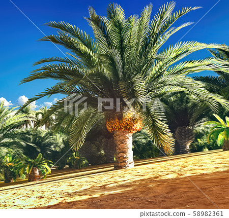 Lush spectacular plants on wilderness in the evening, 3d rendering Lush spectacular plants on wilderness in the evening, 3d rendering 58982361