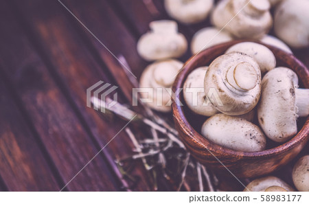 Champignons on dark wooden background with copy space. Photo filtered in vintage style 58983177