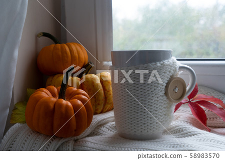 Fall leaves autumn background 58983570