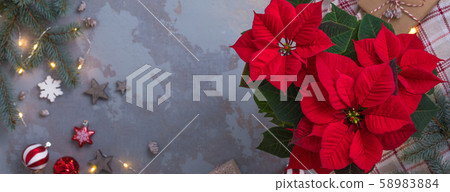 Christmas Red Poinsettia potted over presents, Christmas Red Poinsettia potted over presents, 58983884