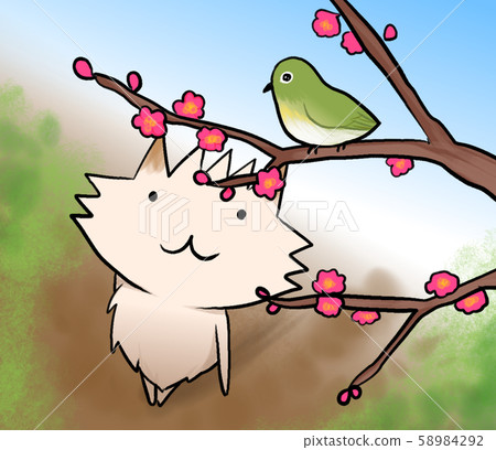 Pomeranian walking while watching the warbler that stops at the plum tree Pomeranian walking while watching the warbler that stops at the plum tree 58984292