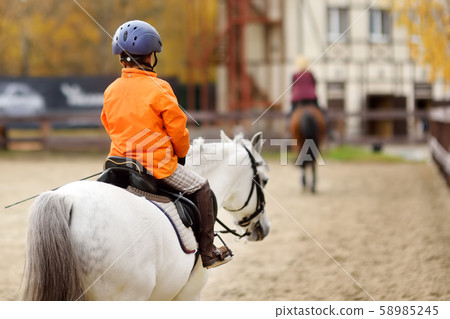 Girls rider trains in horse riding in equestrian Girls rider trains in horse riding in equestrian 58985245