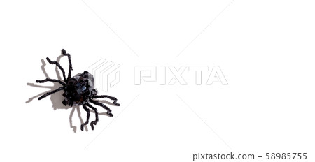Halloween black spider Halloween black spider 58985755