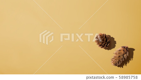 Autumn pine cones from above Autumn pine cones from above 58985758