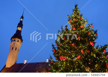 Giant Cristmas fir tree and tower of Town Hall 58985794