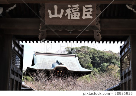 Kaenji-ji門 58985935