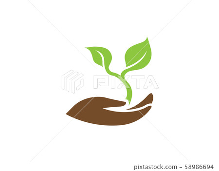 leaves in hand for plant care for logo design illustration on white background leaves in hand for plant care for logo design illustration on white background 58986694