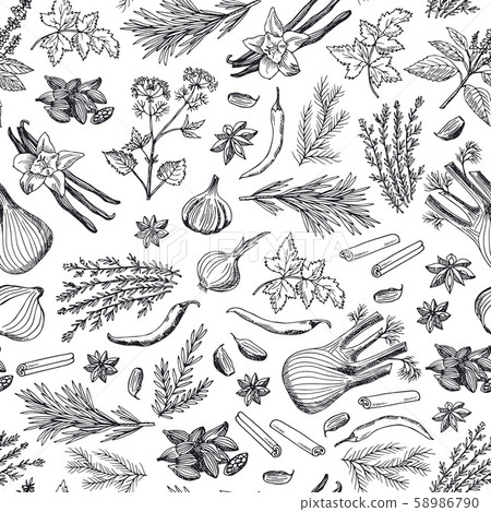 Vector hand drawn herbs and spices background or pattern illustration Vector hand drawn herbs and spices background or pattern illustration 58986790