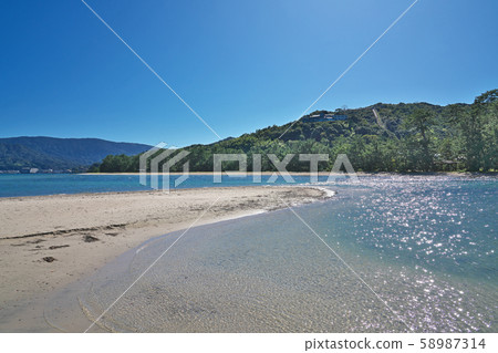 [Amanohashidate Matsunamiki] Bunju, Miyazu City, Kyoto 58987314