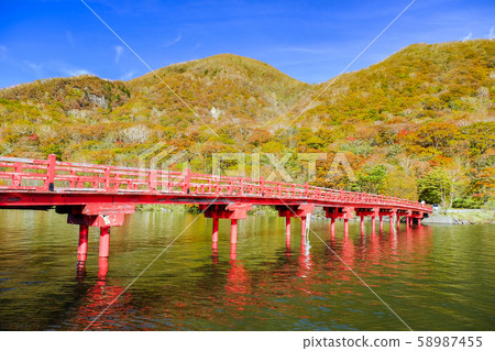 Autumn leaves and Kashiwagi bird bridge 58987455