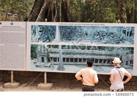 Ta Prohm 58988073