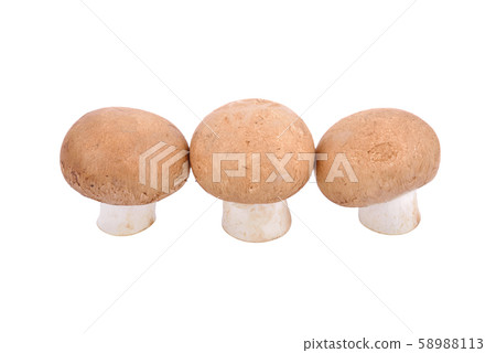 uncooked fresh champignon on white background 58988113