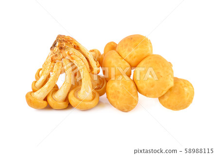 Edible mushrooms called golden needle mushroom, 58988115