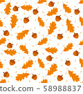 Set of colorful autumn leaves and acorn,isolated on white background  58988837