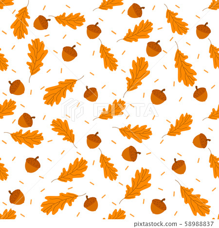 Set of colorful autumn leaves and acorn,isolated on white background  58988837