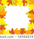 Set of colorful autumn leaves and acorn,isolated on white background  58988838