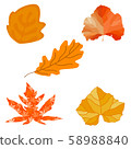 Set of colorful autumn leaves ,isolated on white background  58988840