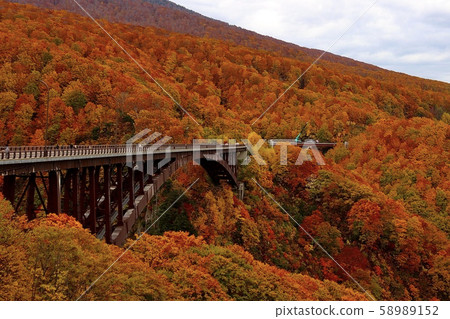 秋天的樹葉 秋天的樹葉 58989152
