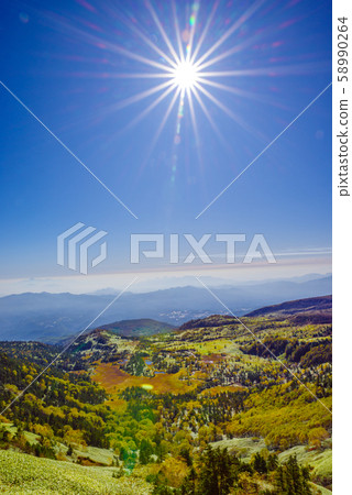 從羽平濕地的秋葉 58990264