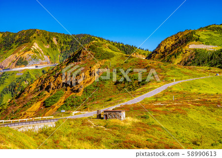 Scenery from the Shiga Kusatsu Kogen route [Gunma side] 58990613