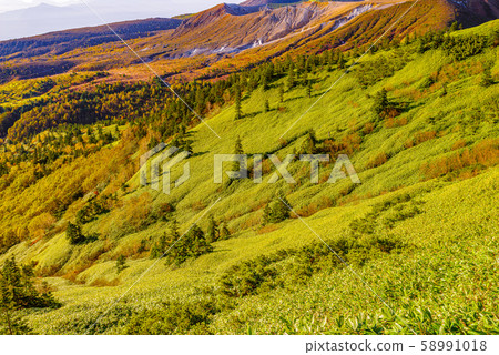 從Hagahira沼澤地,Shirane山和日本國道的最高點 從Hagahira沼澤地,Shirane山和日本國道的最高點 58991018