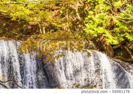 Fukushima Inawashiro, Tatsuzawa Fudo waterfall in autumn season Fukushima Inawashiro, Tatsuzawa Fudo waterfall in autumn season 58991176