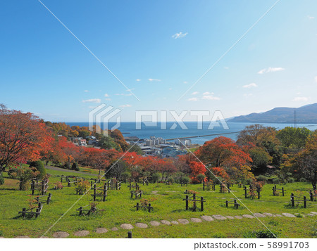 View from Otaru Temiya Planting Botanical Garden 58991703