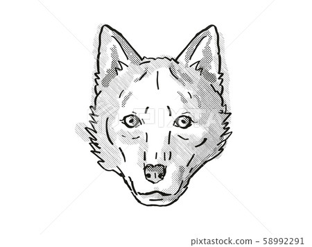 Red Wolf  Endangered Wildlife Cartoon Retro 58992291