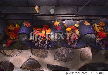 秋天,紅楓落在傳統的韓國瓦屋頂上 秋天,紅楓落在傳統的韓國瓦屋頂上 58993002