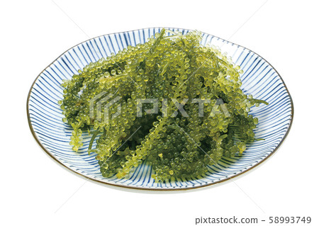 Sea Grape 04 (with pass) 58993749