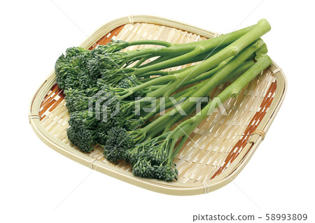 Stick Senor 03（通過） 58993809