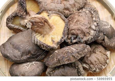 Shiitake mushroom 58993955