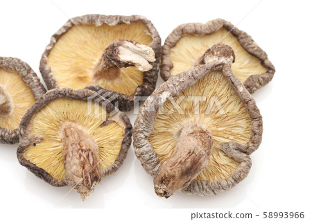 香菇 香菇 58993966