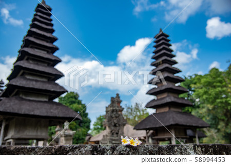 Bali's world heritage Merman of Taman Ayun Temple, Bali's leading flower, Frangipani Plumeria 58994453