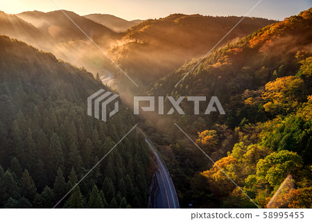 島根縣Orochi環和秋葉 58995455