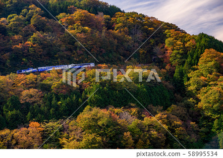 Shimane Prefecture Orochi Loop and Autumn Leaves Shimane Prefecture Orochi Loop and Autumn Leaves 58995534